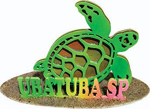 Kit 10 Peças Artesanato porta caneta tartaruga