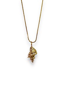 Colar Concha Dóris - Banhado Em Ouro18k