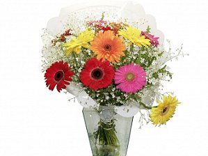 Bouquet de gerberas coloridas - Camélia Flores | Floricultura, Paisagismo e  Entrega de Flores Online - RJ