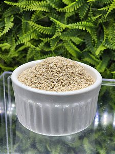 Psyllium