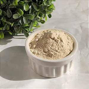 Cebola em pó