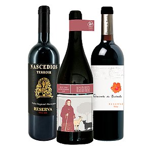 Caixa Reserva dos Sentidos: A Colheita Excepcional em Cada Gole - Tintos