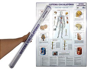 Banner Mapa Sistema Circulatório Anatomia do Corpo Humano Para Estudo Biologia Pôster Medicina 90x120CM