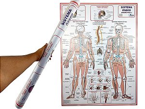 Banner Esqueleto Mapa Anatomia do Corpo Humano 90x120CM Para Estudo Biologia Pôster Medicina