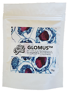 Fertilizante Fat Crystal Glomus 75g