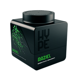 Fertilizante Hype Raziel 1Kg