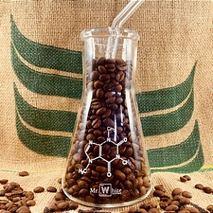 Erlenmeyer de vidro 250ml c/ canudo e escova de limpeza - Molécula Cafeína