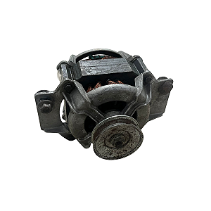 Motor Recondicionado Para Tanquinho Mueller 127V 220V