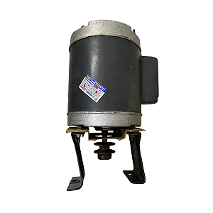 Motor P/ Lava-Roupa Lavínia L6 Prosdocimo 2 Velocidades 220v 944021493