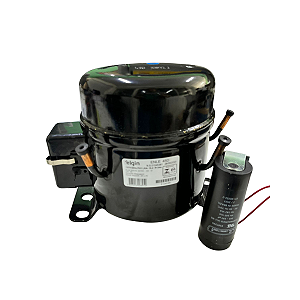 Compressor Elgin 1/8+hp 1/6 Hp 127v 60hz R-134a 45enle45e000