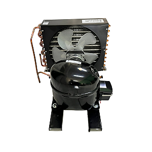 Unidade Condensadora Elgin 1/2hp 220v 60hz 45ucp0160es R-134a E Blends