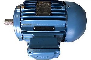 Motor Elétrico Trifásico Weg 0,5hp 220/380v 10pólos Ip55 W22