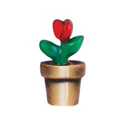 Charm - Planta No Vaso
