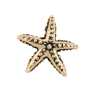Charm - Estrela Ouro Especial