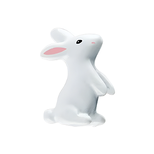 Charm - Coelho Especial