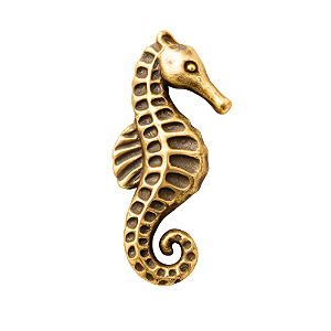Charm - Cavalo Marinho Ouro