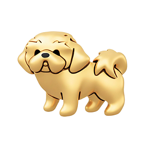 Charm - Shih Tzu/Lhasa apso Pelo Curto Ouro