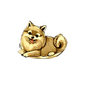 Charm - Spitz Alemão/Lulu da Pomerania Ouro
