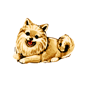 Charm - Spitz Alemão/Lulu da Pomerania Ouro