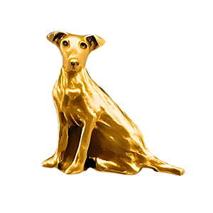 Charm - Cão Vira Lata SRD Ouro