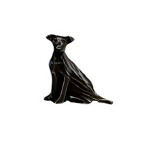 Charm - Cão Vira Lata SRD Preto