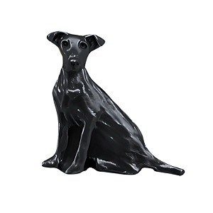 Charm - Cão Vira Lata SRD Preto