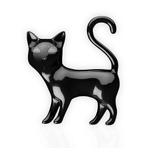 Charm - Gato Preto
