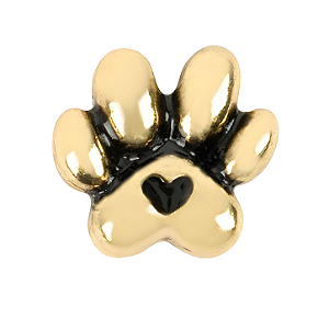 Charm - Patinha Pet Especial
