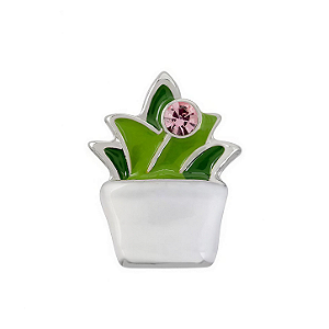 Charm - Suculenta no Vaso Especial