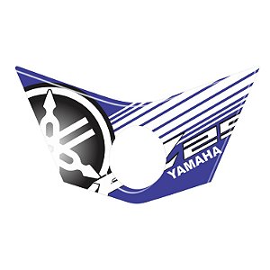 Adesivo Fz25 2017 à 2020 Compatível Rabeta Resinado