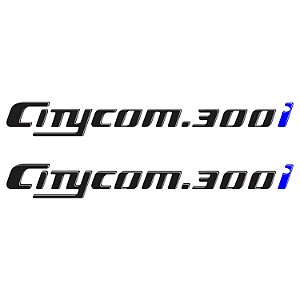 Adesivo Dafra Sym Citycom 300i
