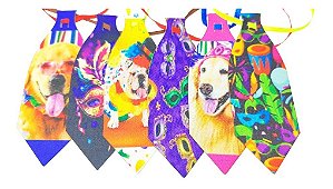 Gargantilha pet sublimada CARNAVAL mista cetim