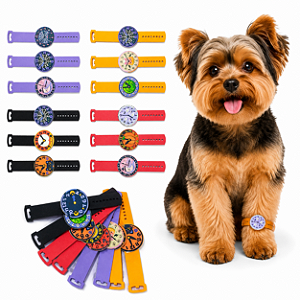 40 Adesivos Relógio Halloween EVA Pet Shop Cão Banho e Tosa