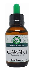 Camapu (Physalis angulata) - Extrato 60ml