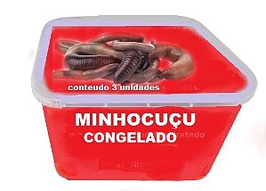 minhocuçu em conserva