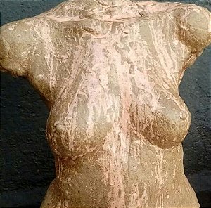 torso I fem