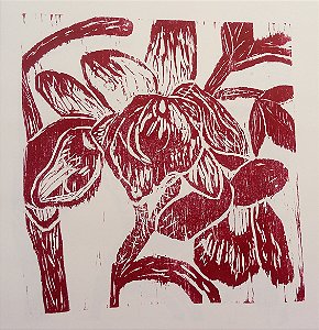 xilogravura orquídea