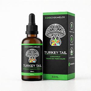 Extrato de Cogumelo Turkey Tail