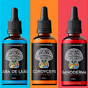 Kit Produtividade - Juba de Leão, Cordyceps e Ganoderma