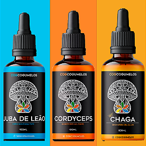 Kit  - Juba de Leão - Cordyceps - Chaga