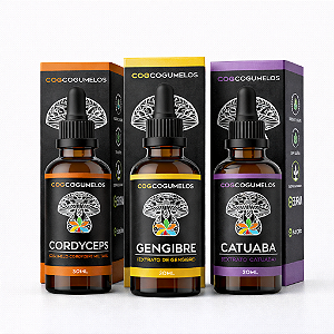 Kit Vigor Alpha - Cordyceps, Gengibre e Catuaba