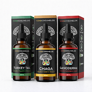 Kit Sauvage - Turkey Tail, Chaga e Ganoderma