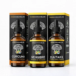 Kit Root & Fungi - Cúrcuma, Gengibre e Maitake