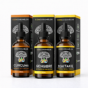 Kit Root & Fungi - Cúrcuma, Gengibre e Maitake