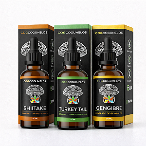 Kit Terra Fungi - Shiitake, Trametes e Gengibre