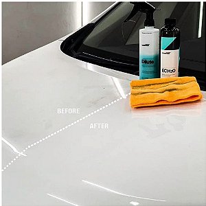 ECH2O 1L - CARPRO