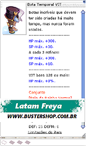 Bota Temporal VIT (1)