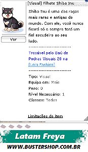 [Visual] Filhote Shiba Inu