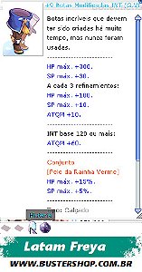 +9 Botas Modificadas INT G.VIT PE5