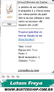 Visual Boneco de Coelho